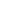 Mobile Location Icon